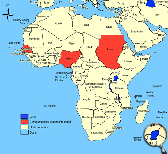 Distibution Map Africa